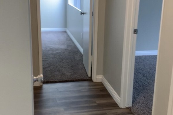 Walnut Park Apartment